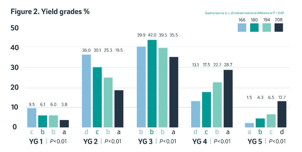 Yield grades percentage graph