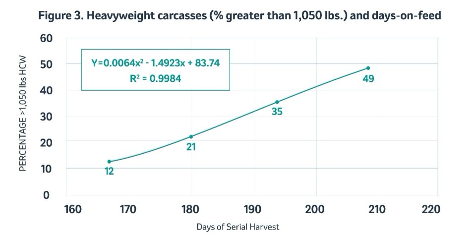Heavyweight carcasses and days-on-feed line graph