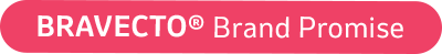 BRAVECTO® Brand Promise Button