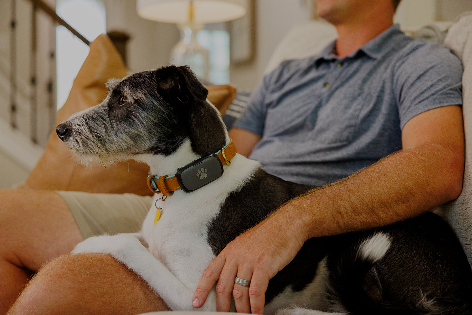 Homepage | Merck Animal Health USA Homepage | Merck Animal Health USA