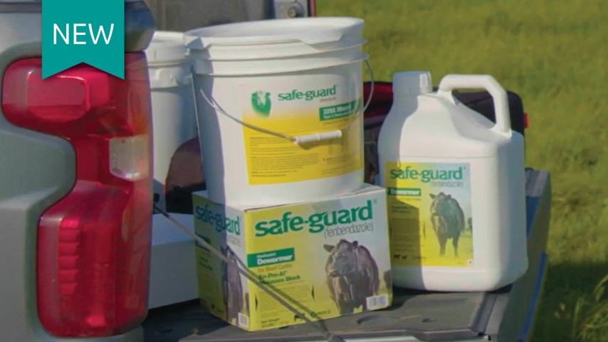 Safe-Guard for deworming