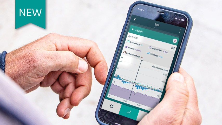 Cow data monitoring mobile app