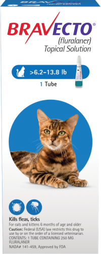 Bravecto flea treatment for clearance cats