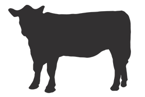 cow silhouette