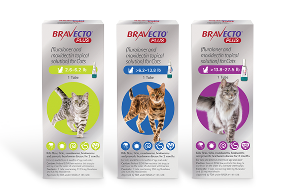 BRAVECTO® PLUS for Cats