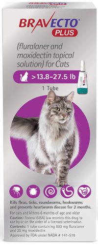 BRAVECTO® PLUS for Cats