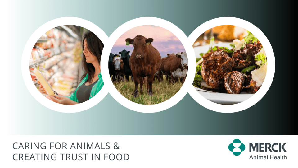 Veterinary and Consumer Affairs | Merck Animal Health USA