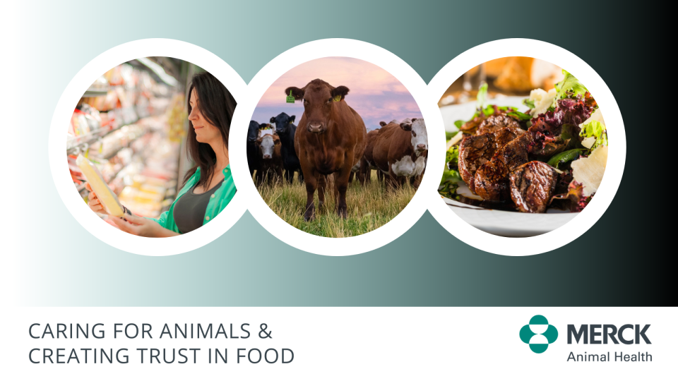 Veterinary and Consumer Affairs | Merck Animal Health USA Veterinary and Consumer Affairs | Merck Animal Health USA