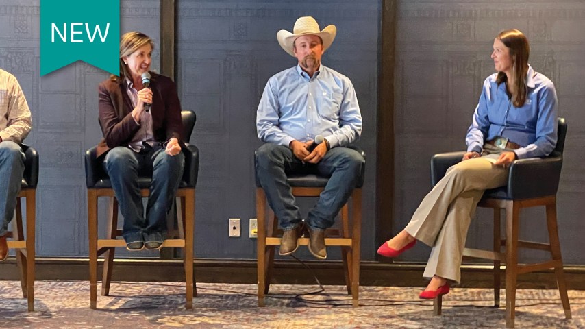 Four people sit on a panel discussing sustainability in beef production.