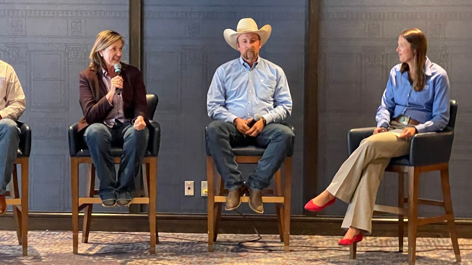 Four people sit on a panel discussing sustainability in beef production.