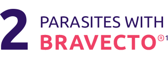 2 parasites with Bravecto