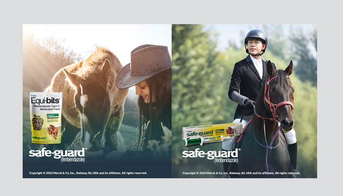 Safe-guard equi-bits images