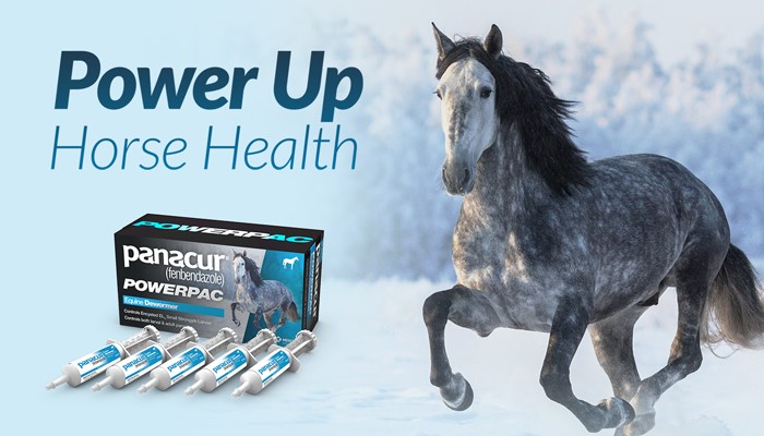Power Up Horse Health