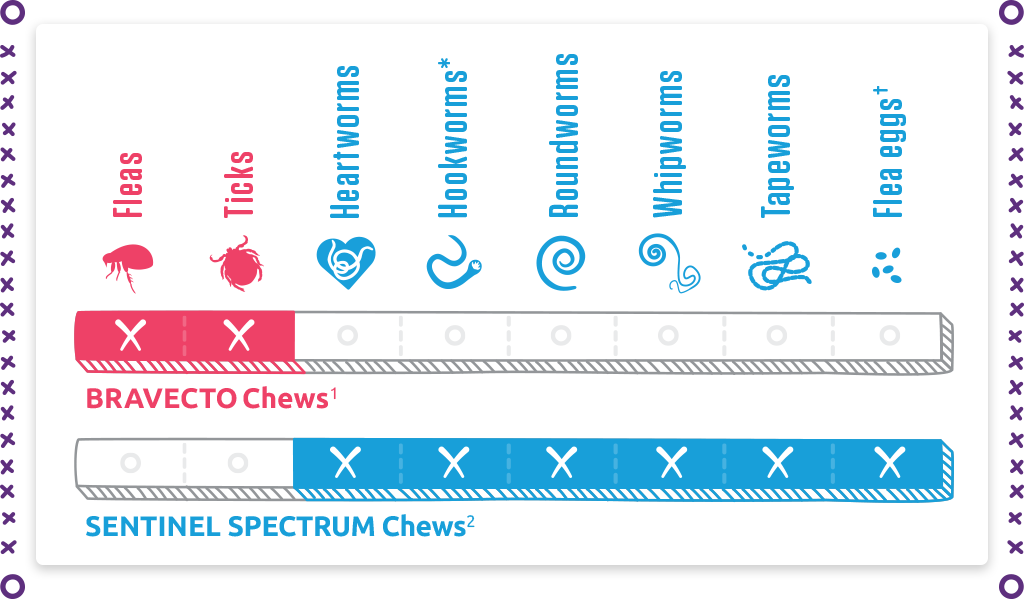 Bravecto Chews and Sentinel Spectrum Chews protection chart