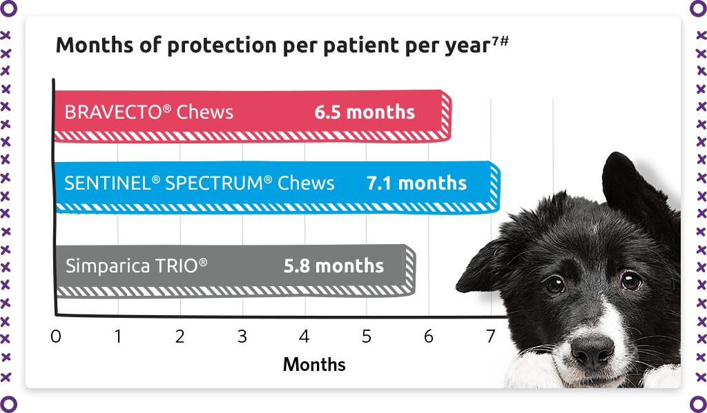 Months of protection per patient per year