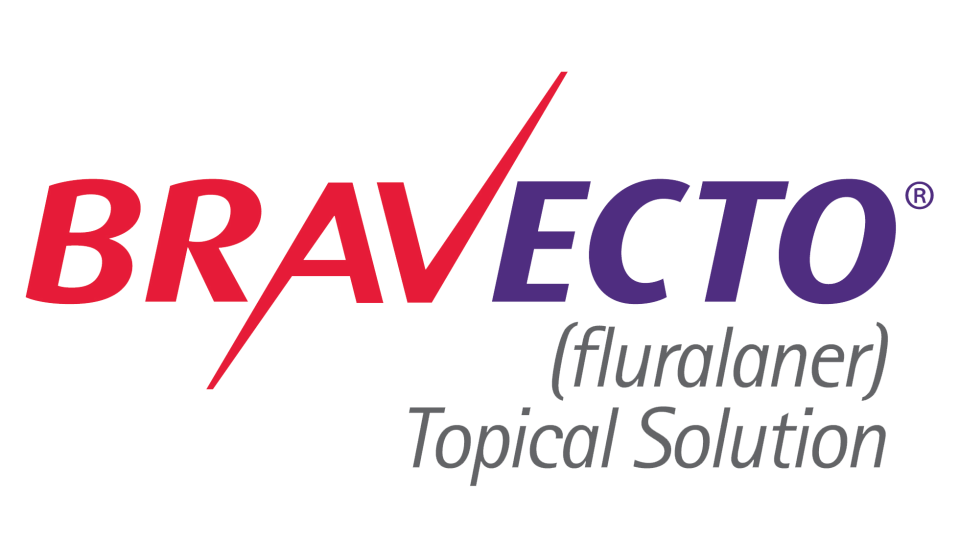 Bravecto for Cats - us-bravecto-com