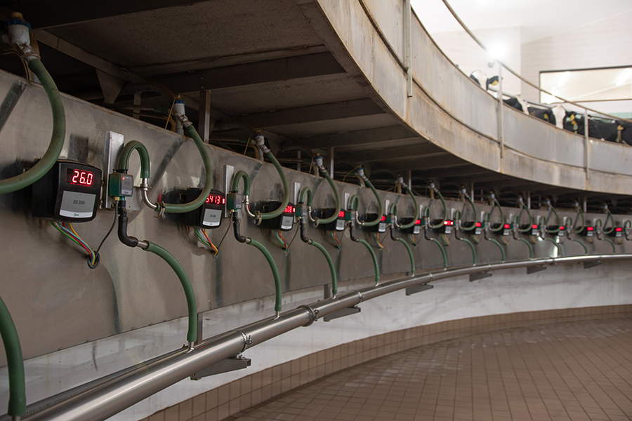 rotary milking parlor