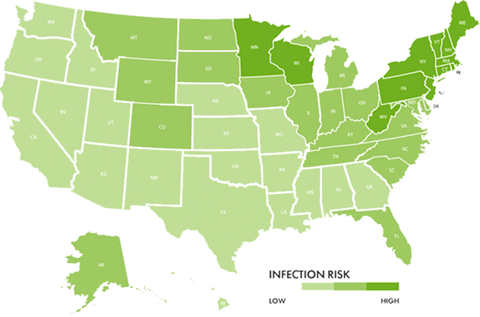 Graphic of the United States map showing the prevalence of Lyme disease
