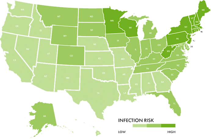 Graphic of the United States map showing the prevalence of Lyme disease