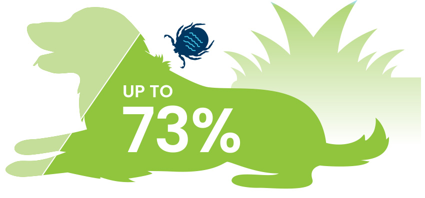 Illustration of dog showing that up to 73 percent of unvaccinated dogs in endemic areas tested positive for Lyme disease