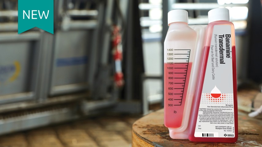 BANAMINE® TRANSDERMAL sitting on a table in a barn.