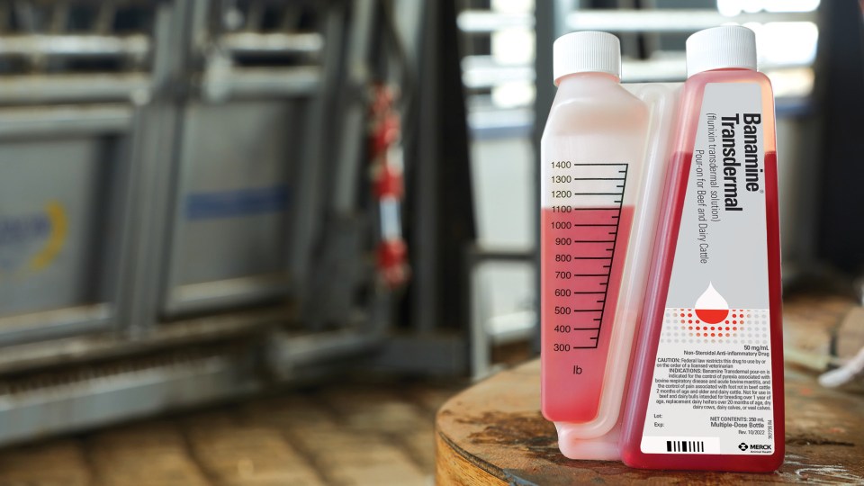 BANAMINE® TRANSDERMAL sitting on a table in a barn.