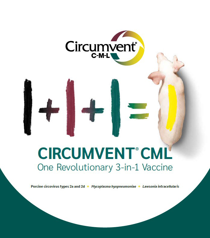 Circumvent 3-in-1 graphic