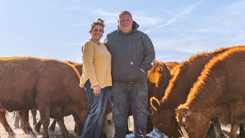 A ranching couple next to a group of cows eating