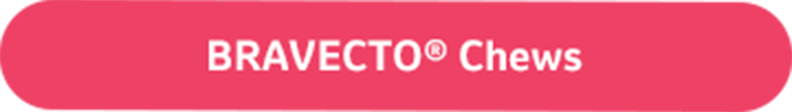 Bravecto Chews