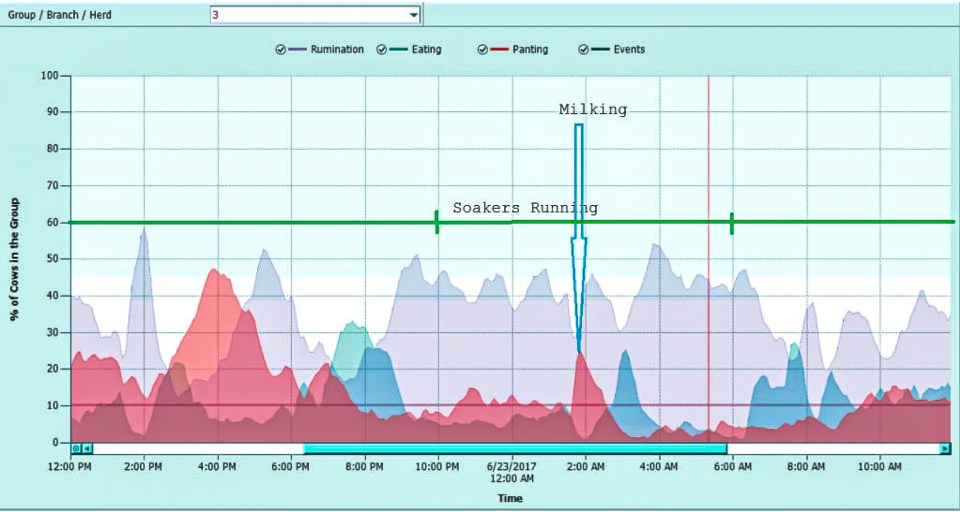 Heat stress graph with soakers running constantly.