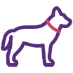 dog icon