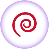 Roundworms – Toxocara cati