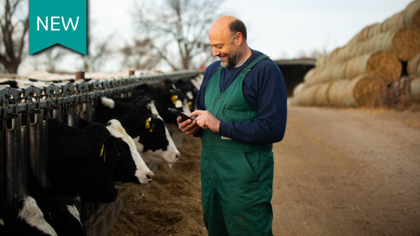 Merck Animal Health Dairy
