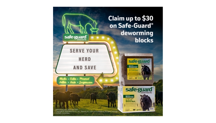 Safe-guard blocks offer social assets