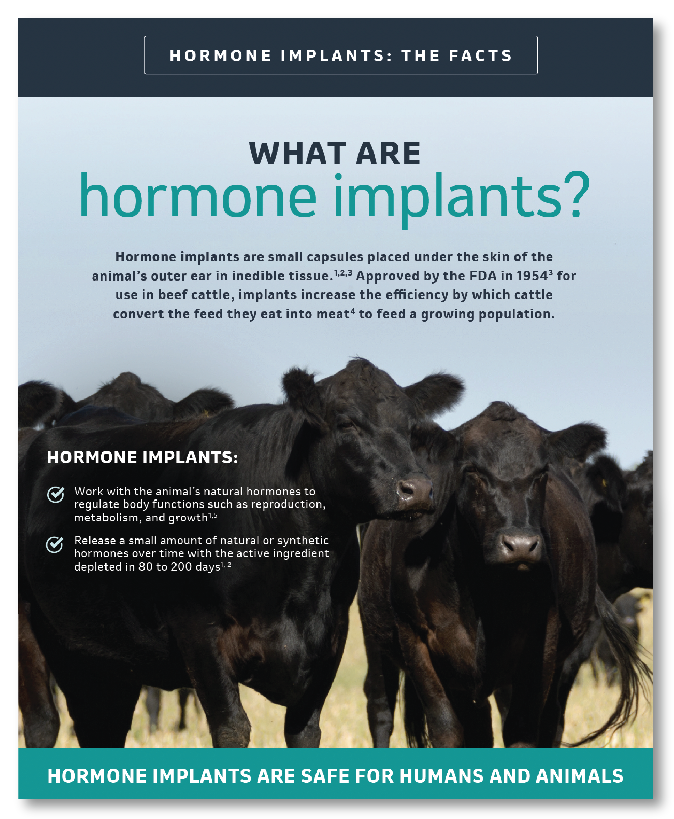 What are hormone implants?