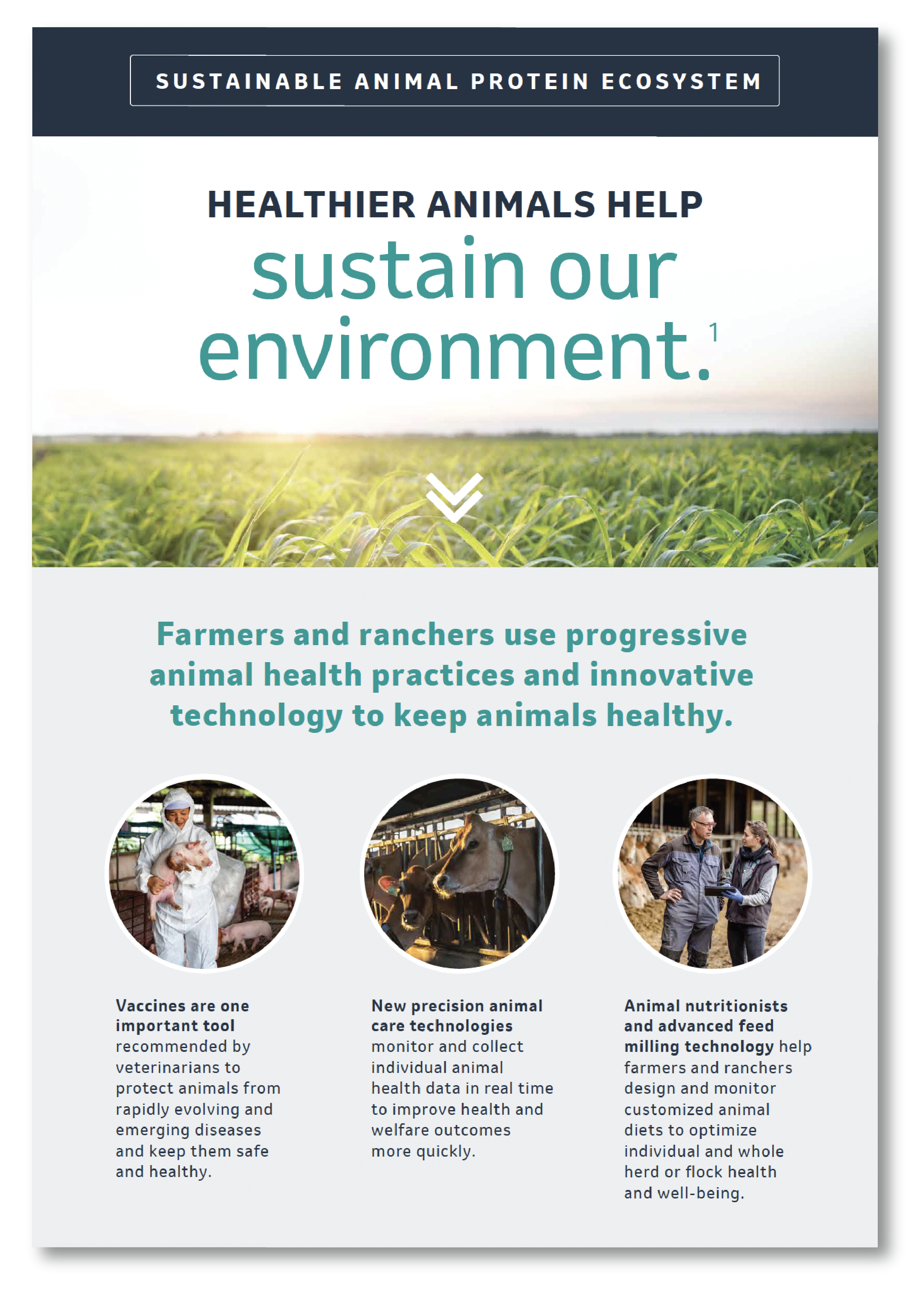 Healthier animals help sustain our environment