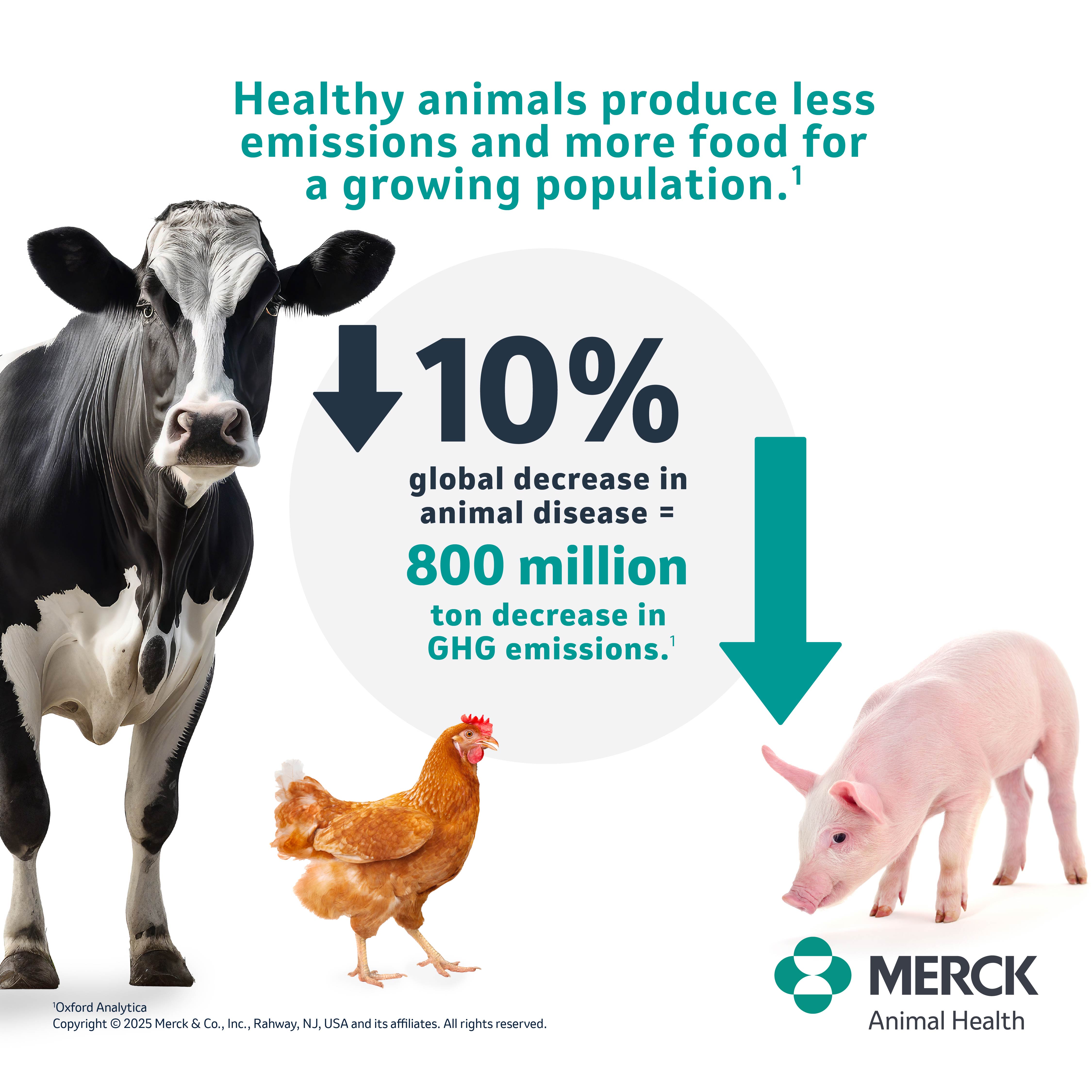 A graphic with a cow, chicken and pig stating that a 10% global decrease in animal disease = 800 million ton decrease in GHG emmisions