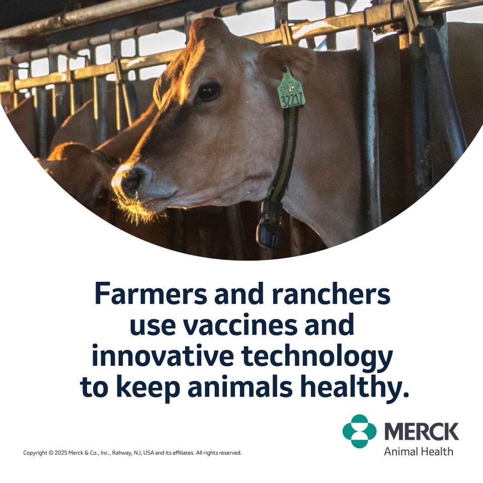 Farmers and ranchers use vaccines and innovative technology to keep animals healthy