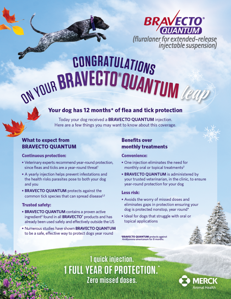 Quantum Brief tile