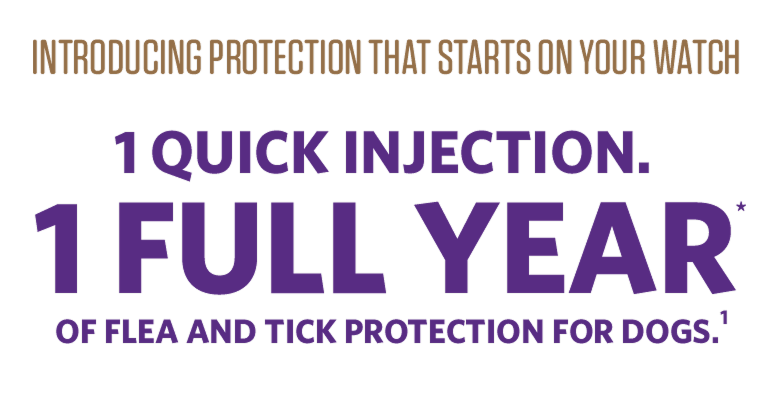 Introducing protection that starts on your watch. 1 quick injection. 1 full year of flea and tick protection for dogs