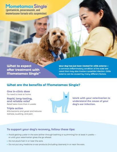 Mometamax Single Pet Owner Handout doc