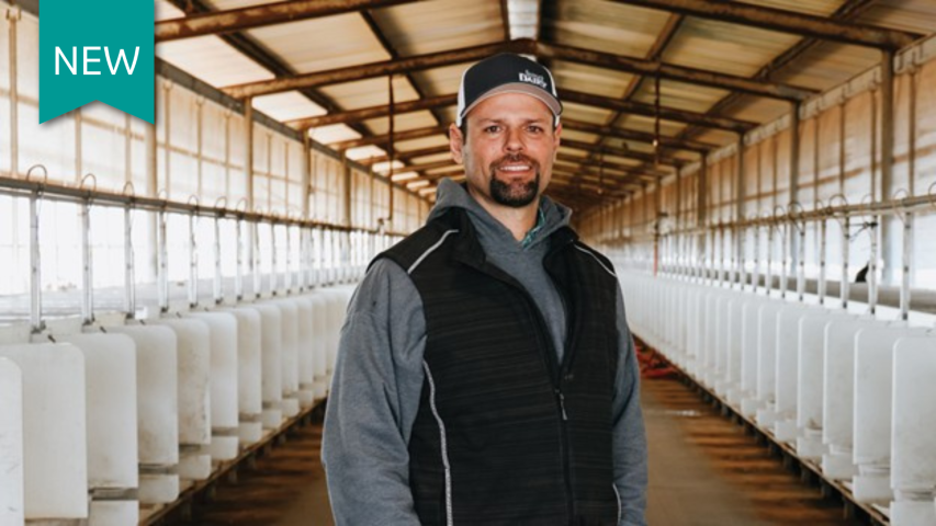 Cattle Insights