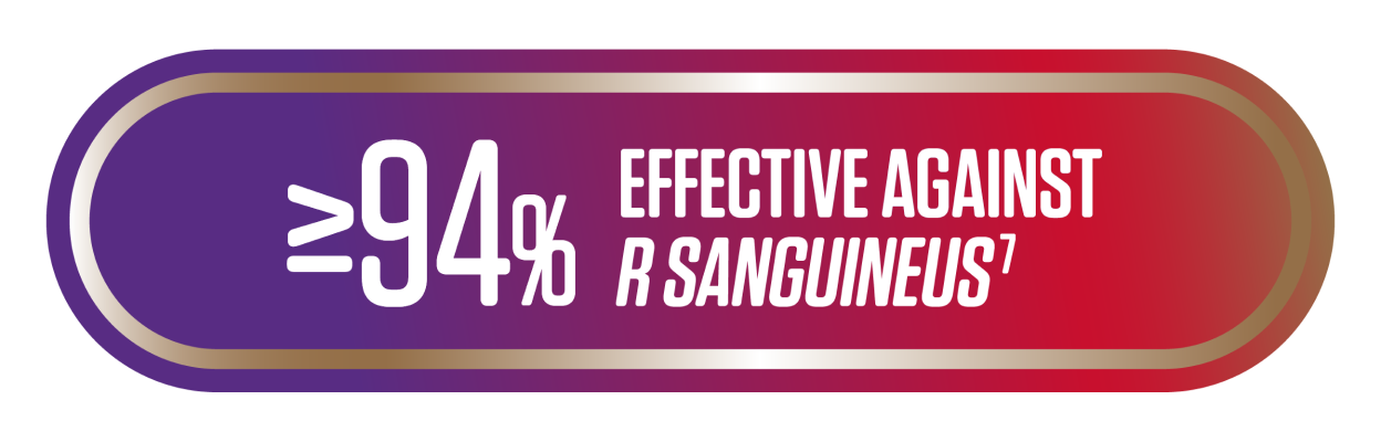 >=94% effective against R Sanguineus