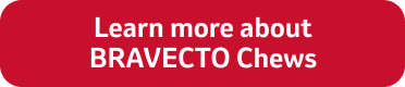 Learn more about BRAVECTO Chews