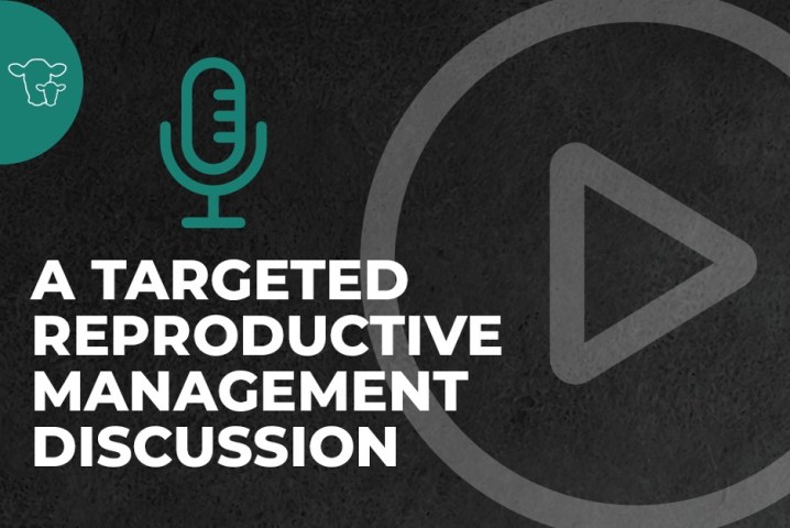 Dairy podcast
