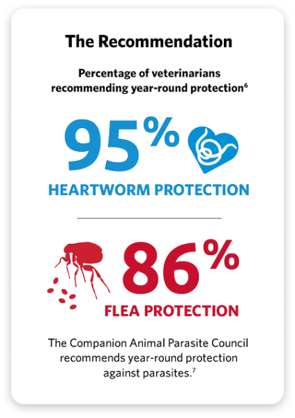 Percentage of veterinarians recommending year-round protection
