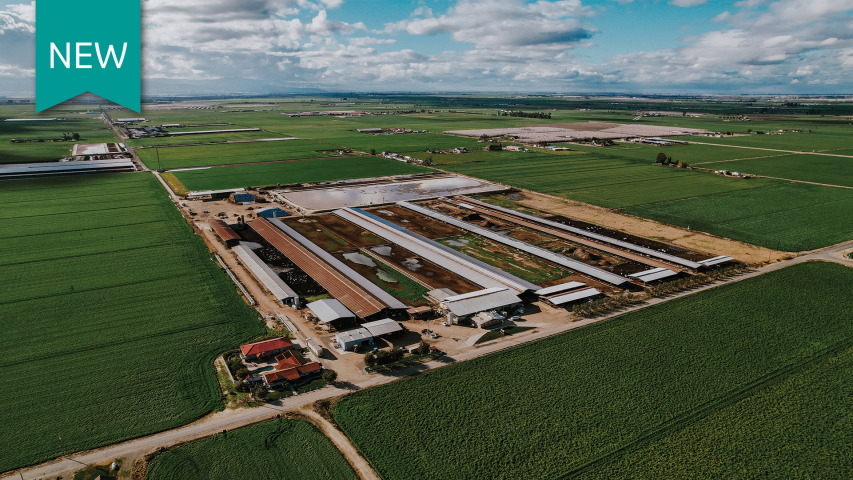 Lumar Dairy